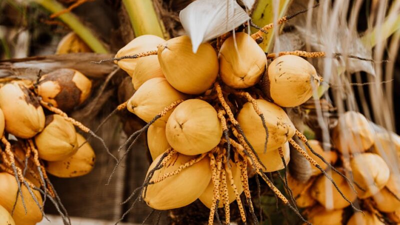 Alimentación y cáncer de próstata. ¿Se puede prevenir este tipo de cáncer variando nuestra dieta?
