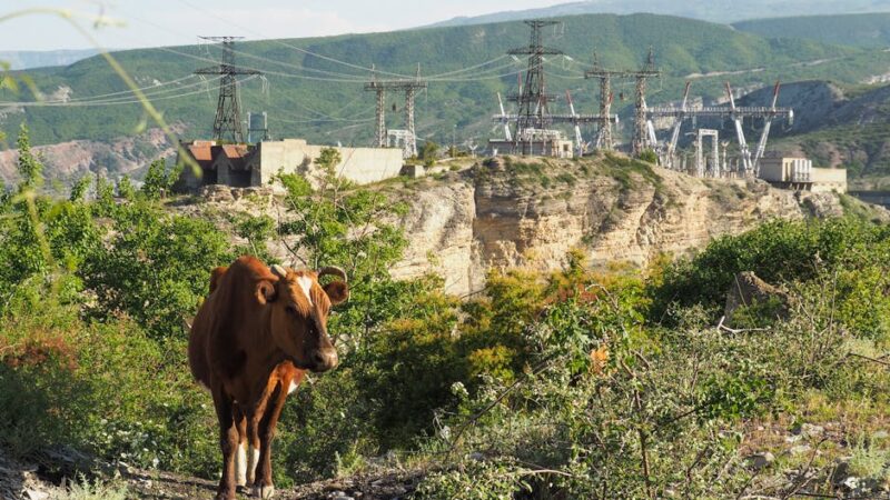 ¿Cómo se puede aprovechar la energía de los fenómenos naturales?