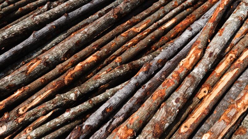 ¿Cuál es la clasificación de los recursos naturales?