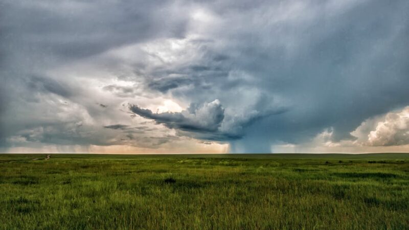 ¿Cuáles son las consecuencias de las tormentas y los huracanes  en el ecosistema?