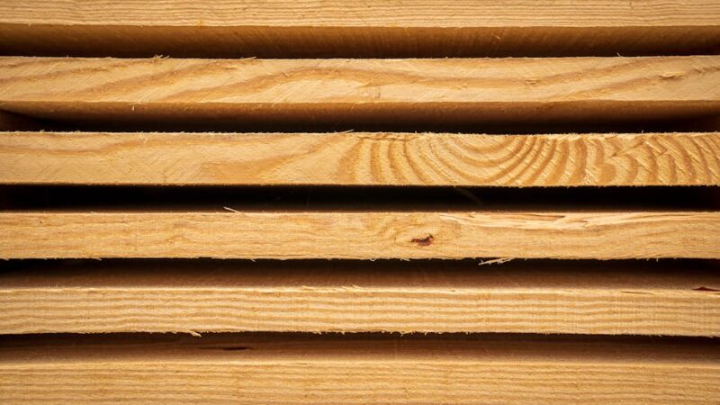 ¿Cuáles son los recursos naturales de México?