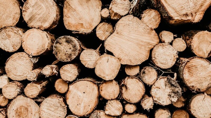 ¿De qué recursos naturales se obtiene el papel?