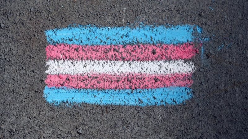 Diferencias entre feminismo y machismo