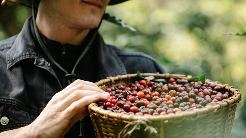 ¿Es bueno tomar café justo después de comer?