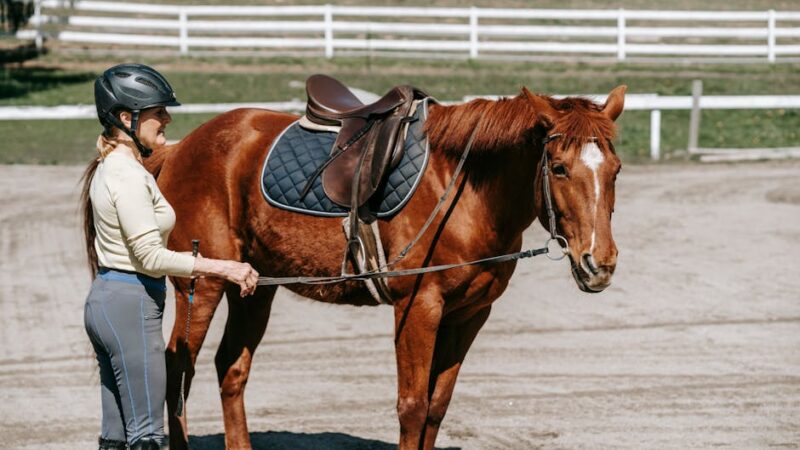 Los diferentes tipos de deportes con caballos que existen