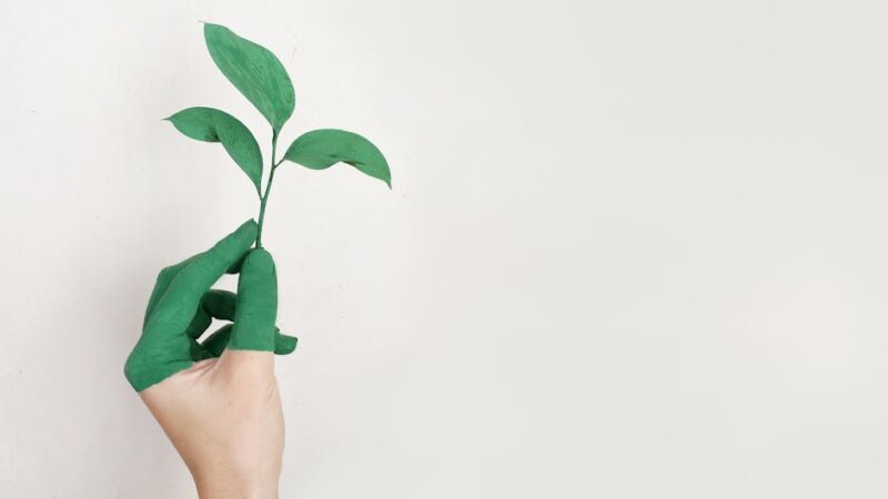 Los principios de la sustentabilidad del medio ambiente