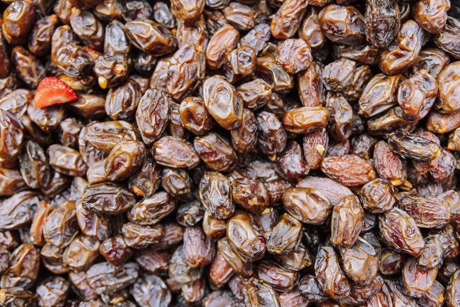 Propiedades nutricionales del aceite de colza