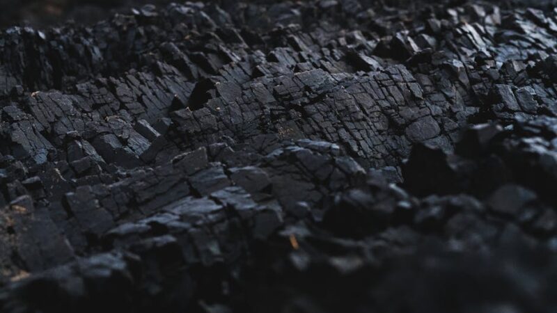¿Qué es el ciclo del carbono?