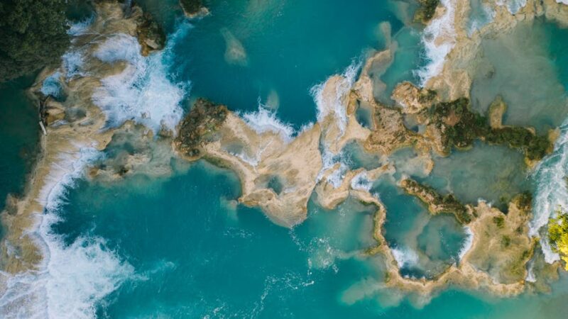 ¿Qué es el ecosistema del desierto?