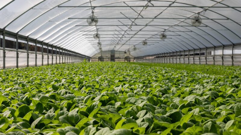 ¿Qué es la agroecología?