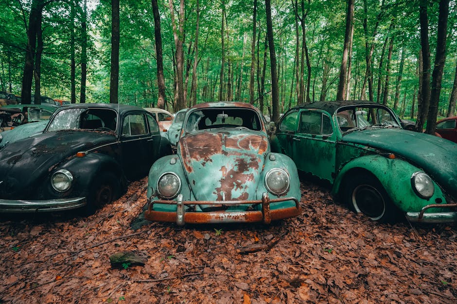 ¿Qué es la cultura ambiental?