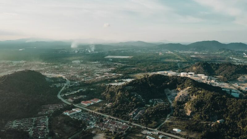 ¿Qué es la ecología de poblaciones?
