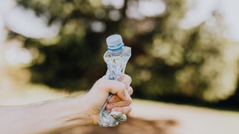 ¿Qué es la gestión ambiental?