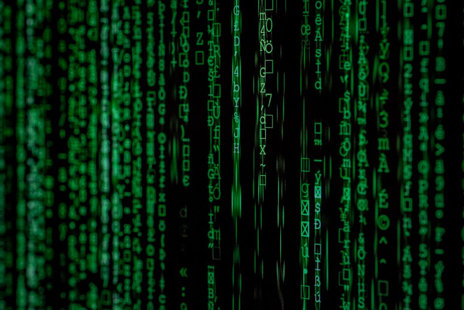 ¿Qué es la política informática?