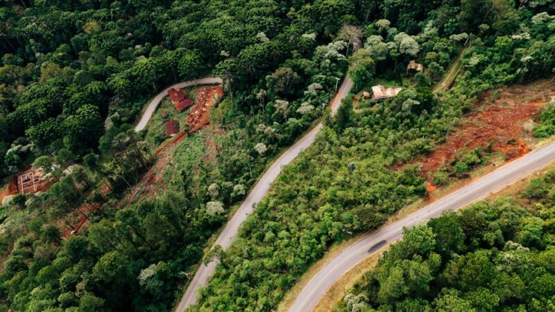 ¿Qué es una región natural?