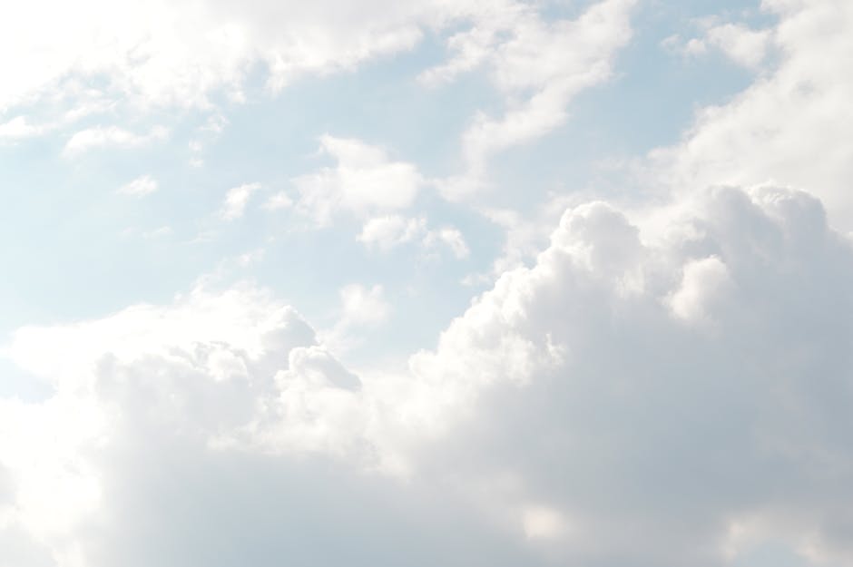 ¿Qué son los ambientes aeroterrestres?