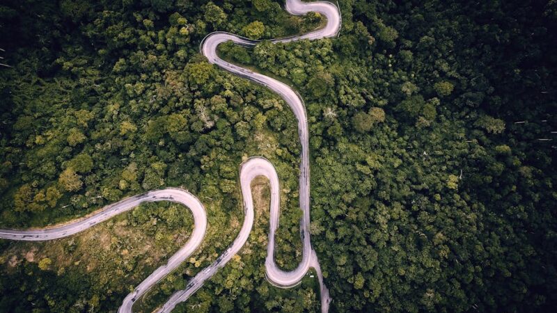¿Qué son los bosques tropicales?