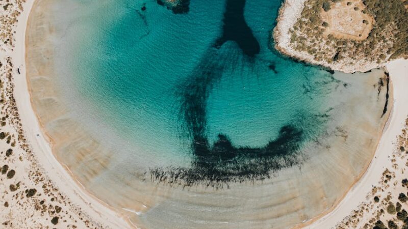 ¿Qué son los componentes naturales de la Tierra?