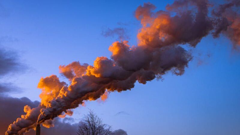 ¿Qué son los contaminantes naturales?