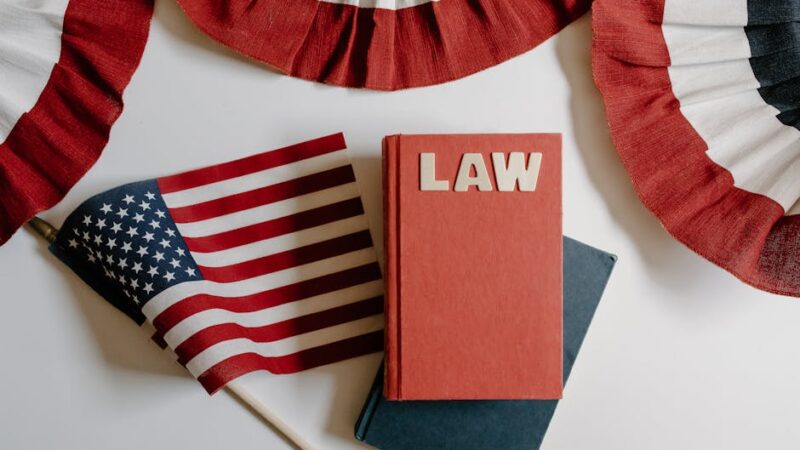 ¿Qué son los principios generales del derecho?
