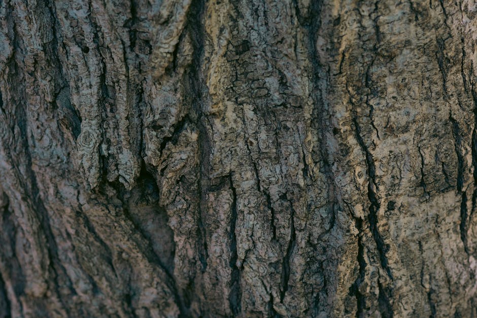 ¿Qué son los protocolos ambientales?